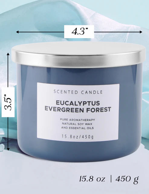 Eucalyptus Evergreen 3-Wick Candle – Fresh & Woodsy Aroma