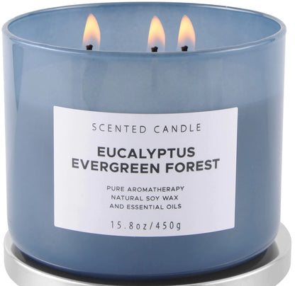 Eucalyptus Evergreen 3-Wick Candle – Fresh & Woodsy Aroma