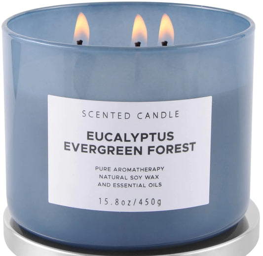 Eucalyptus Evergreen 3-Wick Candle – Fresh & Woodsy Aroma