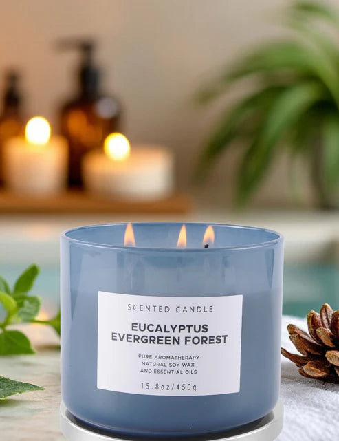 Eucalyptus Evergreen 3-Wick Candle – Fresh & Woodsy Aroma
